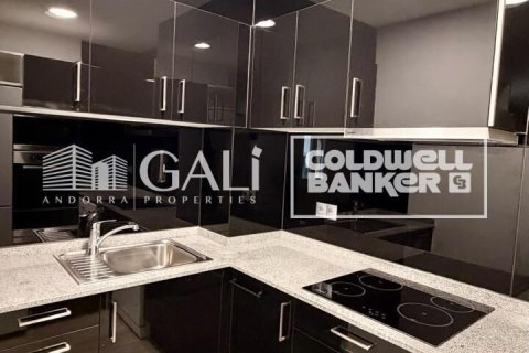 Apartament w Principado De Andorra (Ninguna Poblacion Tiene C.P.), Lleida, Hiszpania 2 sypialnie, 90 mkw. nr 178386 – zdjęcie 11