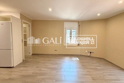 Apartament w Principado De Andorra (Ninguna Poblacion Tiene C.P.), Lleida, Hiszpania 2 sypialnie, 90 mkw. nr 178386 – zdjęcie 3