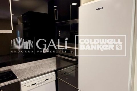 Apartament w Principado De Andorra (Ninguna Poblacion Tiene C.P.), Lleida, Hiszpania 2 sypialnie, 90 mkw. nr 178386 – zdjęcie 13