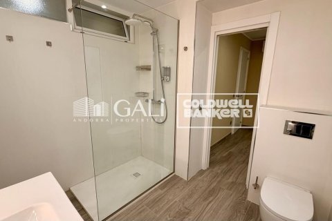 Apartament w Principado De Andorra (Ninguna Poblacion Tiene C.P.), Lleida, Hiszpania 2 sypialnie, 90 mkw. nr 178386 – zdjęcie 18