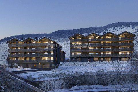 Apartament w Principado De Andorra (Ninguna Poblacion Tiene C.P.), Lleida, Hiszpania 3 sypialnie, 173 mkw. nr 178388 – zdjęcie 14