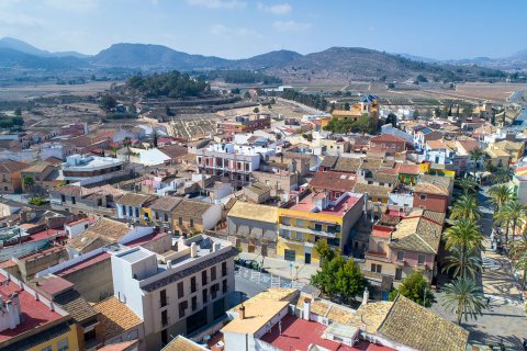 Apartament Hondon De Las Nieves, Alicante, Hiszpania 2 sypialnie, 96 mkw. nr 133869 – zdjęcie 4