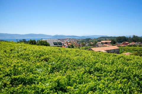 Продажа дома в Санхенхо, Понтеведра, Испания 4 спальни, 772м2 №160133 - фото 10