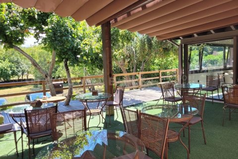 Dom w Parada De Sil, Ourense, Hiszpania 7 sypialni, 820 mkw. nr 160130 – zdjęcie 6