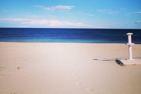 Bungalow en venta en Pilar de la Horadada, Alicante, España 3 dormitorios, 67 m2 No. 141920 - foto 10