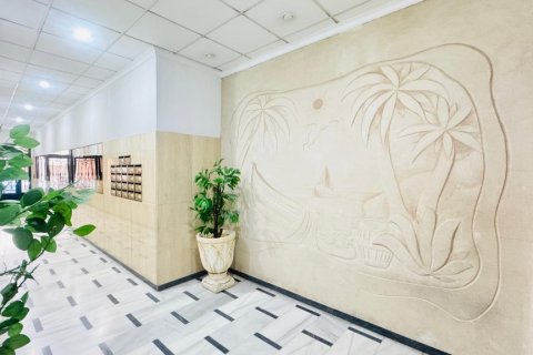 Продажа квартиры в Торревьеха, Аликанте, Испания 3 спальни, 119м2 №146154 - фото 22