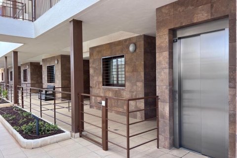 Huoneisto myytävänä Cabo Roig, Alicante, Espanja, 2 makuuhuonetta, 84 m2 No. 180141 - kuva 18