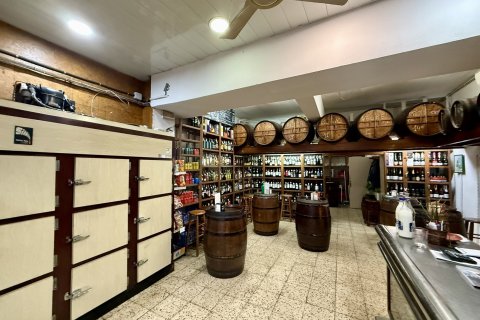 Komerciāls īpašums pārdošanā Barcelona, Spānijā 149 m2 Nr. 166070 - attēls 5