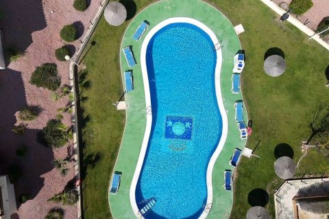 Lägenhet till salu i Dehesa De Campoamor, Alicante, Spanien 2 sovrum, 83 kvm. Nr. 163123 - foto 22