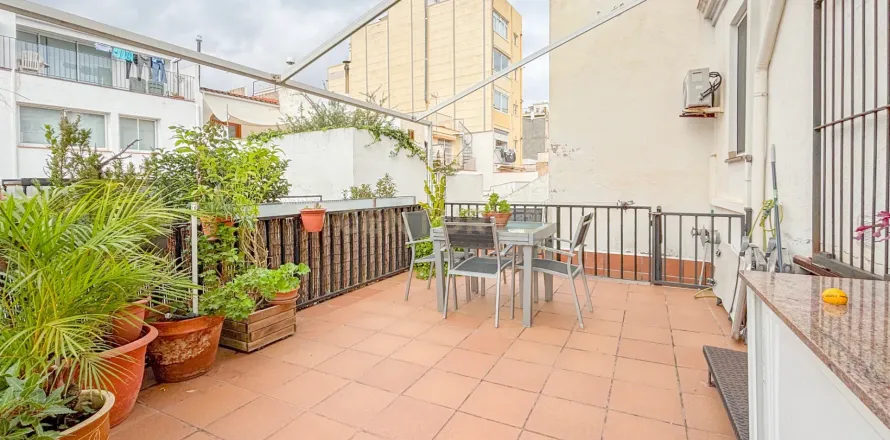 House in Premia De Mar, Barcelona, Spain 5 bedrooms, 310 sq.m. No. 167077