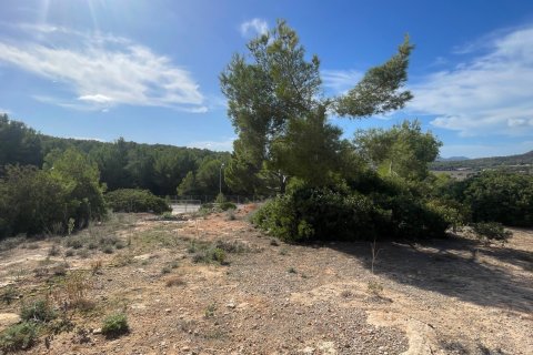 Land plot in Cala Vinyes, Mallorca, Spain 1380 sq.m. No. 181959