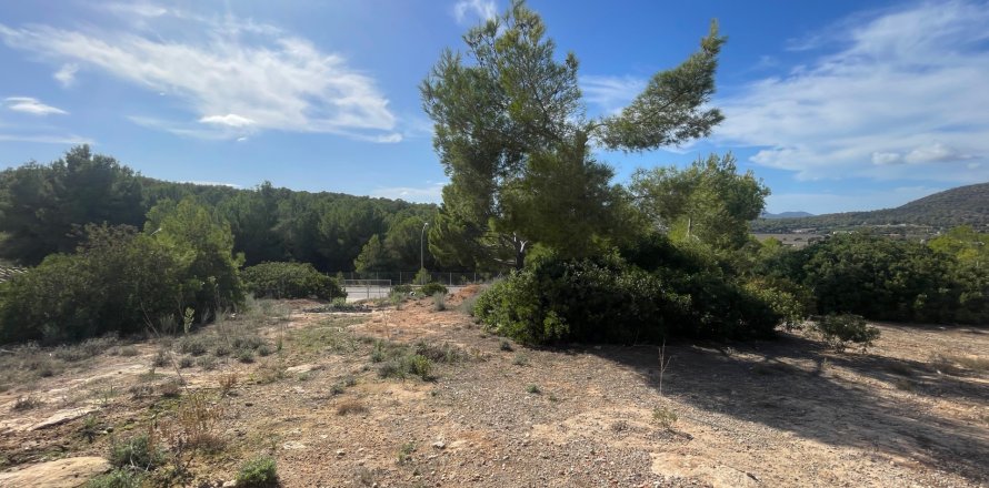 Land plot in Cala Vinyes, Mallorca, Spain 1380 sq.m. No. 181959