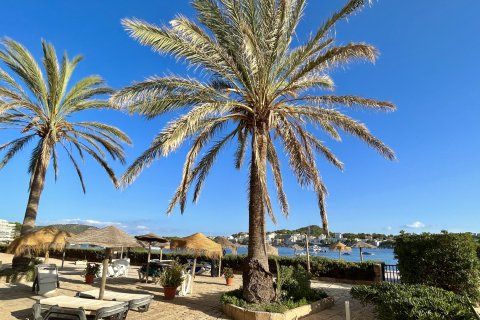 Wohnung zur Miete in Santa Ponsa, Mallorca, Spanien 3 Schlafzimmer, 96 m2 Nr. 181957 - Foto 22