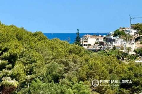 Dzīvoklis īrēšanai Porto Cristo, Mallorca, Spānijā 3 istabas, 109 m2 Nr. 181960 - attēls 19