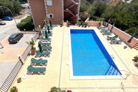 Dzīvoklis īrēšanai Porto Cristo, Mallorca, Spānijā 3 istabas, 109 m2 Nr. 181960 - attēls 16