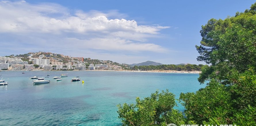 Apartament w Santa Ponsa, Mallorca, Hiszpania 3 sypialnie, 150 mkw. nr 181956
