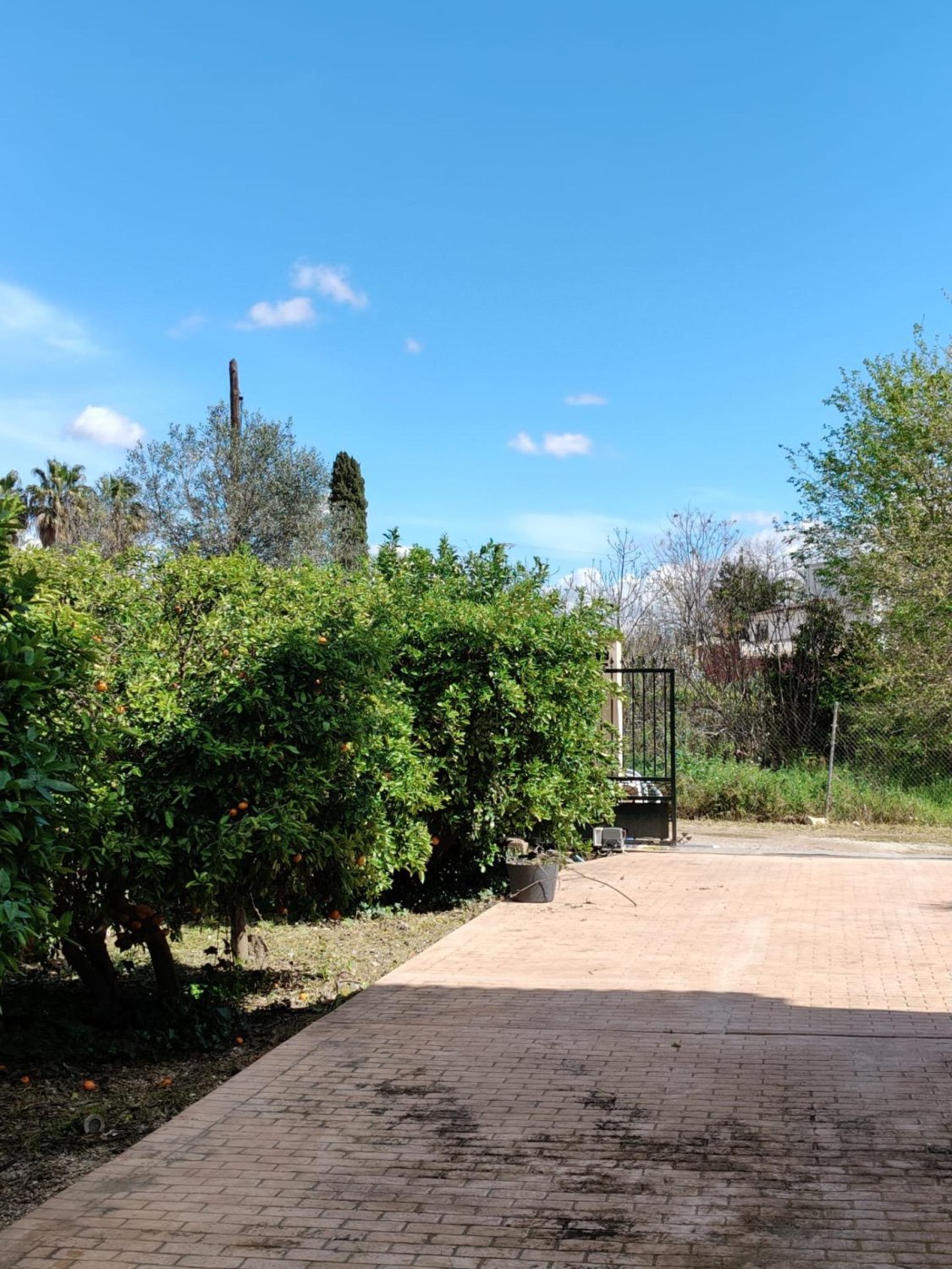 Finca El Palmar, Murcia, Espanja 6 makuuhuonetta, 387 m2 No. 156259