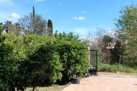 Finca for sale in El Palmar, Murcia, Spain 6 bedrooms, 387 sq.m. No. 156259 - photo 7