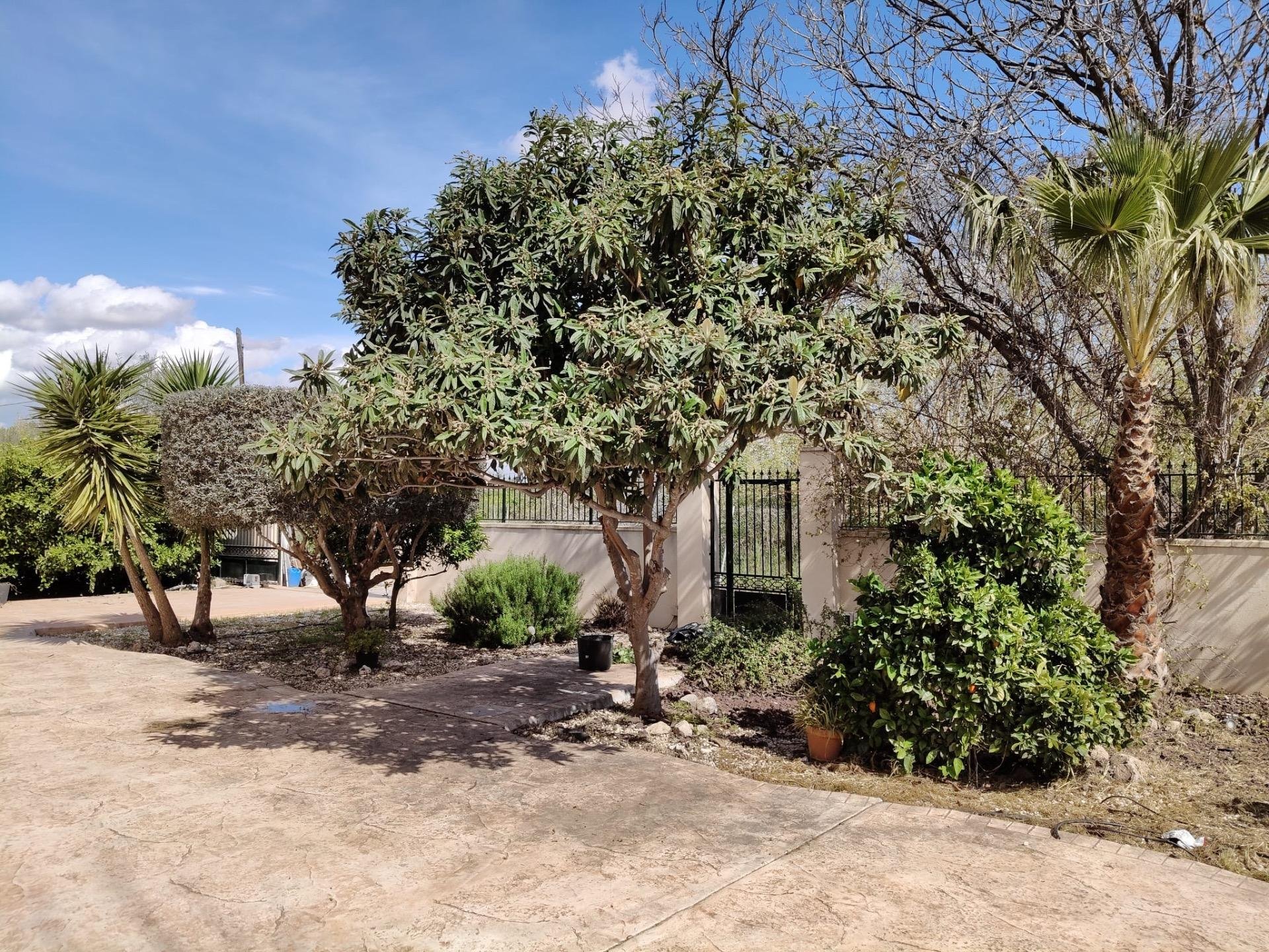 Finca El Palmar, Murcia, Espanja 6 makuuhuonetta, 387 m2 No. 156259