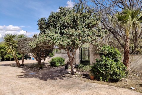 Finca for sale in El Palmar, Murcia, Spain 6 bedrooms, 387 sq.m. No. 156259 - photo 6