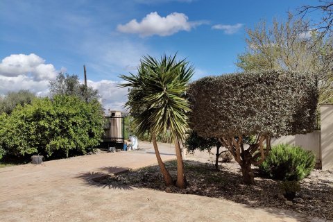 Finca for sale in El Palmar, Murcia, Spain 6 bedrooms, 387 sq.m. No. 156259 - photo 16