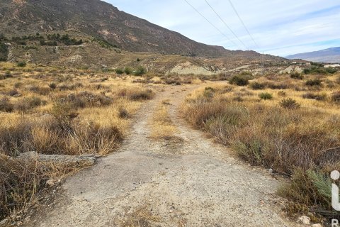 Commercial property for sale in Illar, Almeria, Spain No. 185563 - photo 17