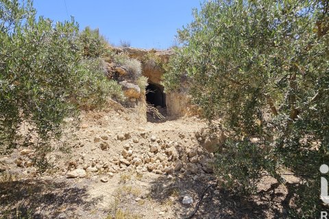 Commercial property for sale in Illar, Almeria, Spain No. 185563 - photo 8