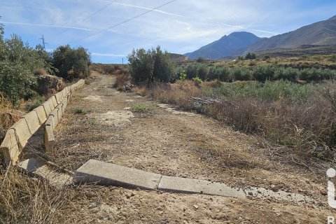 Commercial property for sale in Illar, Almeria, Spain No. 185563 - photo 19