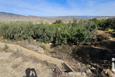 Commercial property for sale in Illar, Almeria, Spain No. 185563 - photo 20