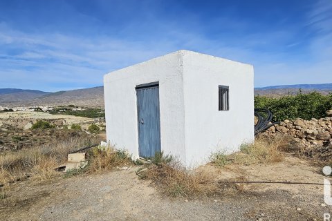 Commercial property for sale in Illar, Almeria, Spain No. 185563 - photo 22