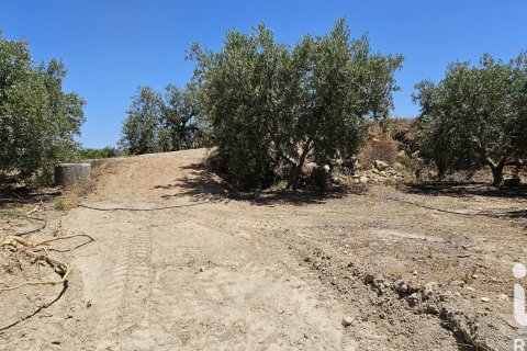 Commercial property for sale in Illar, Almeria, Spain No. 185563 - photo 4
