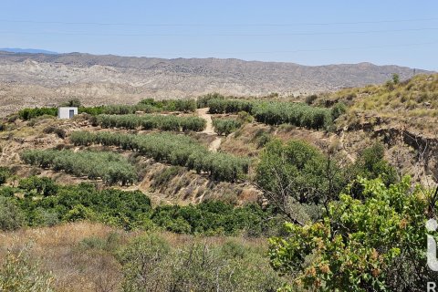 Gewerbeimmobilien in Illar, Almeria, Spanien Nr. 185563
