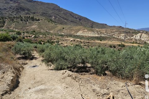 Commercial property for sale in Illar, Almeria, Spain No. 185563 - photo 5