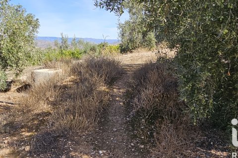 Commercial property for sale in Illar, Almeria, Spain No. 185563 - photo 29