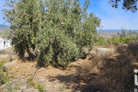 Commercial property for sale in Illar, Almeria, Spain No. 185563 - photo 21