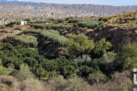 Commercial property for sale in Illar, Almeria, Spain No. 185563 - photo 25