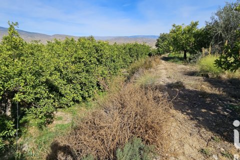 Commercial property for sale in Illar, Almeria, Spain No. 185563 - photo 30