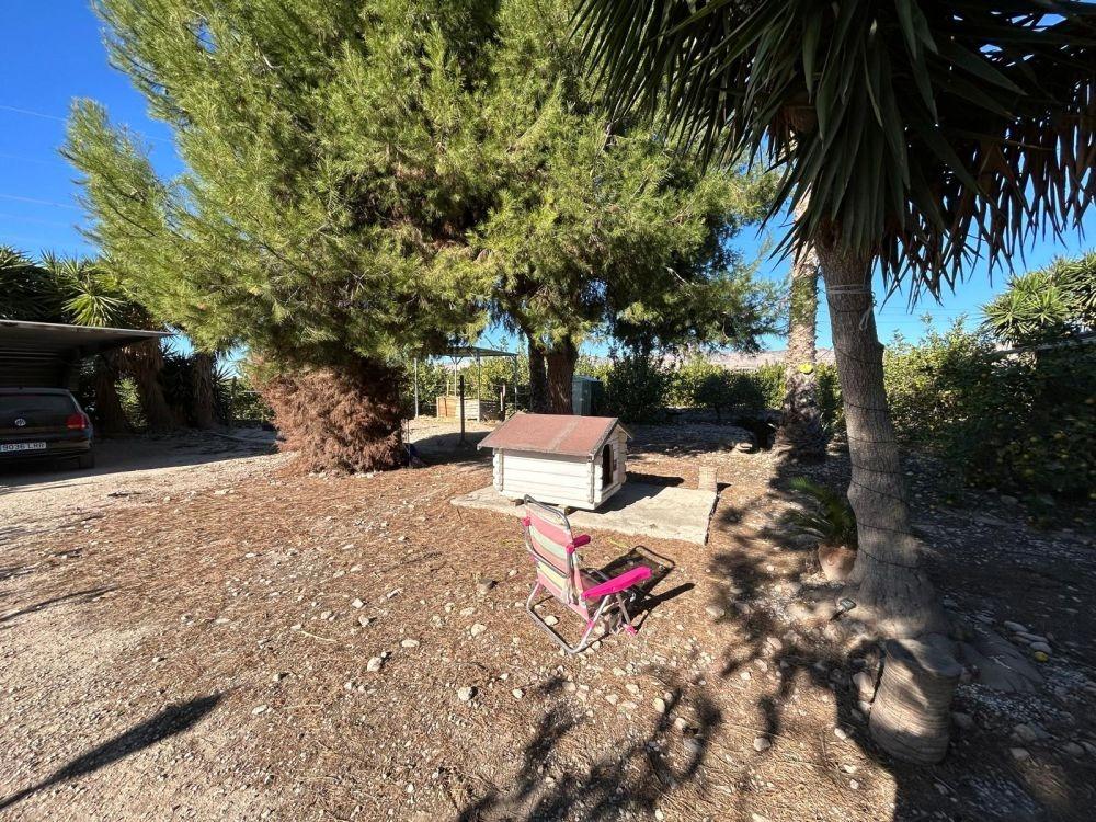 House in Orihuela, Alicante, Spanien 6 Schlafzimmer, 190 m2 Nr. 113173
