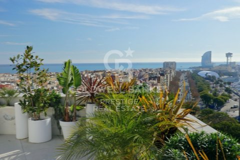 Penthouse w Barcelona, Hiszpania 4 sypialnie, 370 mkw. nr 160226 – zdjęcie 10