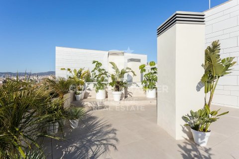 Penthauss pārdošanā Barcelona, Spānijā 4 istabas, 370 m2 Nr. 160226 - attēls 30