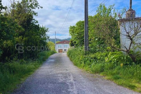 House à vendre à Sanxenxo, Pontevedra, Espagne, 1619 m2 No. 160221 - photo 18