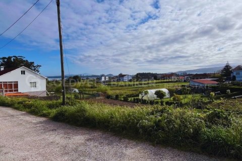 House à vendre à Sanxenxo, Pontevedra, Espagne, 1619 m2 No. 160221 - photo 6