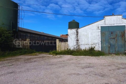 House à vendre à Sanxenxo, Pontevedra, Espagne, 1619 m2 No. 160221 - photo 4