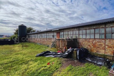 Продажа дома в Санхенхо, Понтеведра, Испания 1619м2 №160221 - фото 18