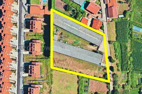 Продажа дома в Санхенхо, Понтеведра, Испания 1619м2 №160221 - фото 2