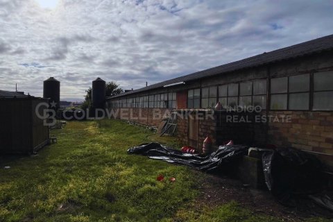 House à vendre à Sanxenxo, Pontevedra, Espagne, 1619 m2 No. 160221 - photo 16