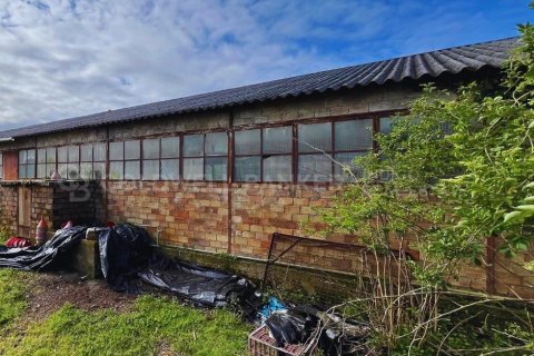 Продажа дома в Санхенхо, Понтеведра, Испания 1619м2 №160221 - фото 19