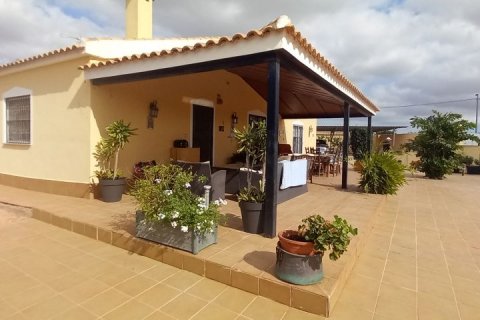 Finca à vendre San Javier, Murcia, Espagne, 3 chambres, 140 m2 No. 115371 - photo 3