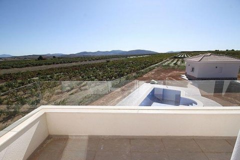 Villa for sale Pinoso, Alicante, Spain 4 bedrooms, 150 sq.m. No. 114026 - photo 15