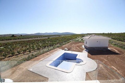 Villa for sale Pinoso, Alicante, Spain 4 bedrooms, 150 sq.m. No. 114026 - photo 16